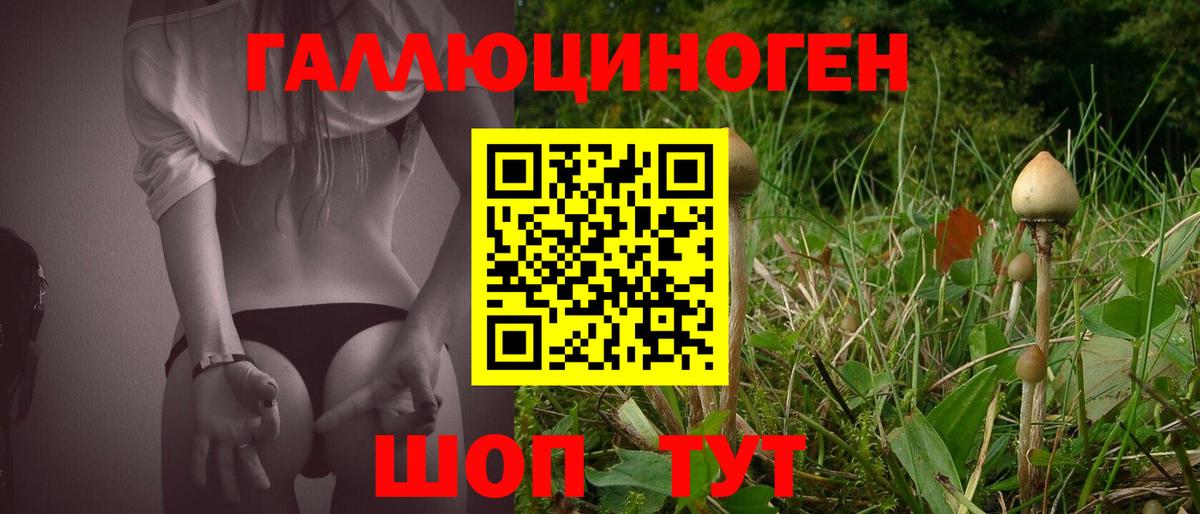 Псилоцибиновые грибы Cubensis Северодвинск